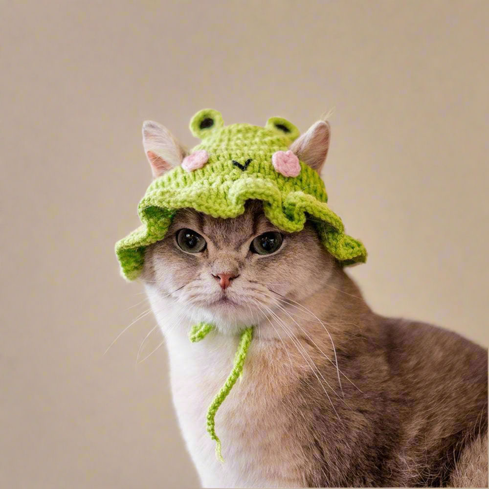 Frog Cat Hat