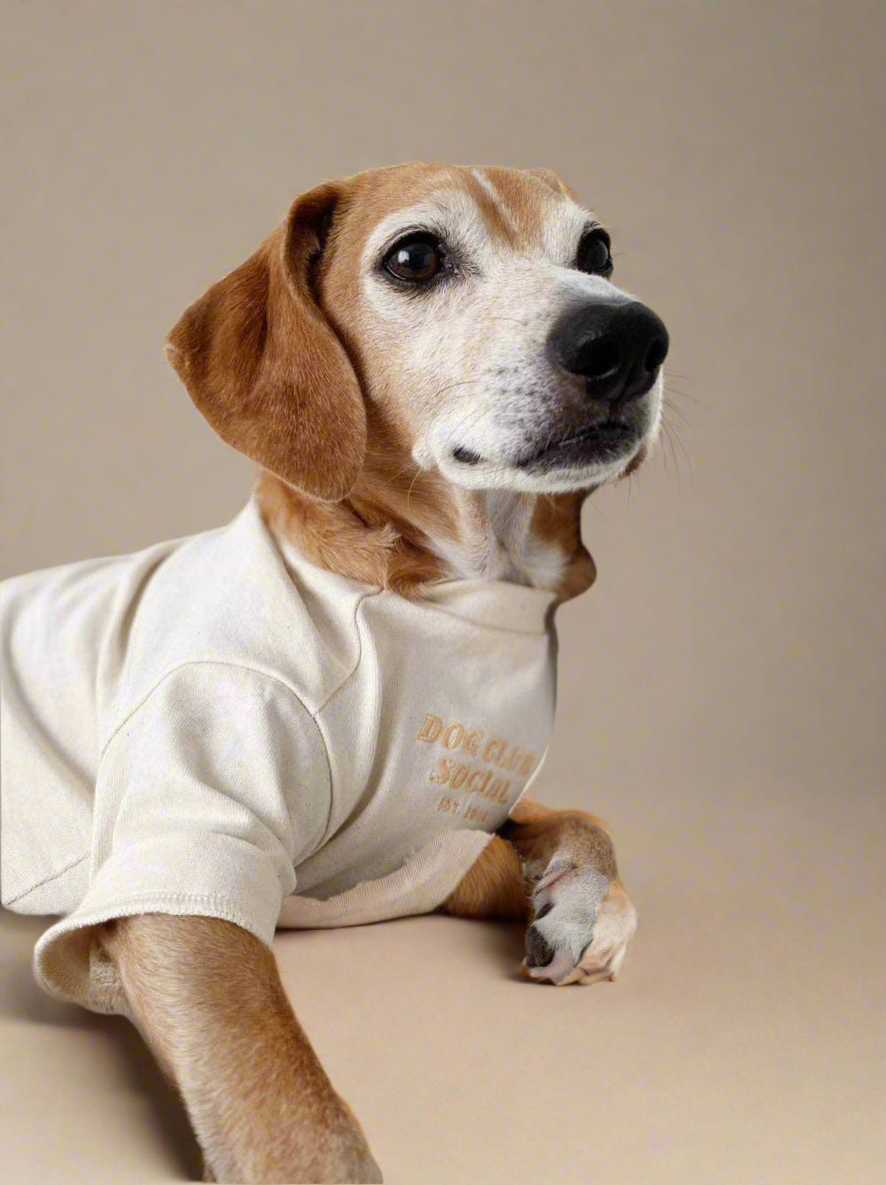 Dog Embroidered Tee