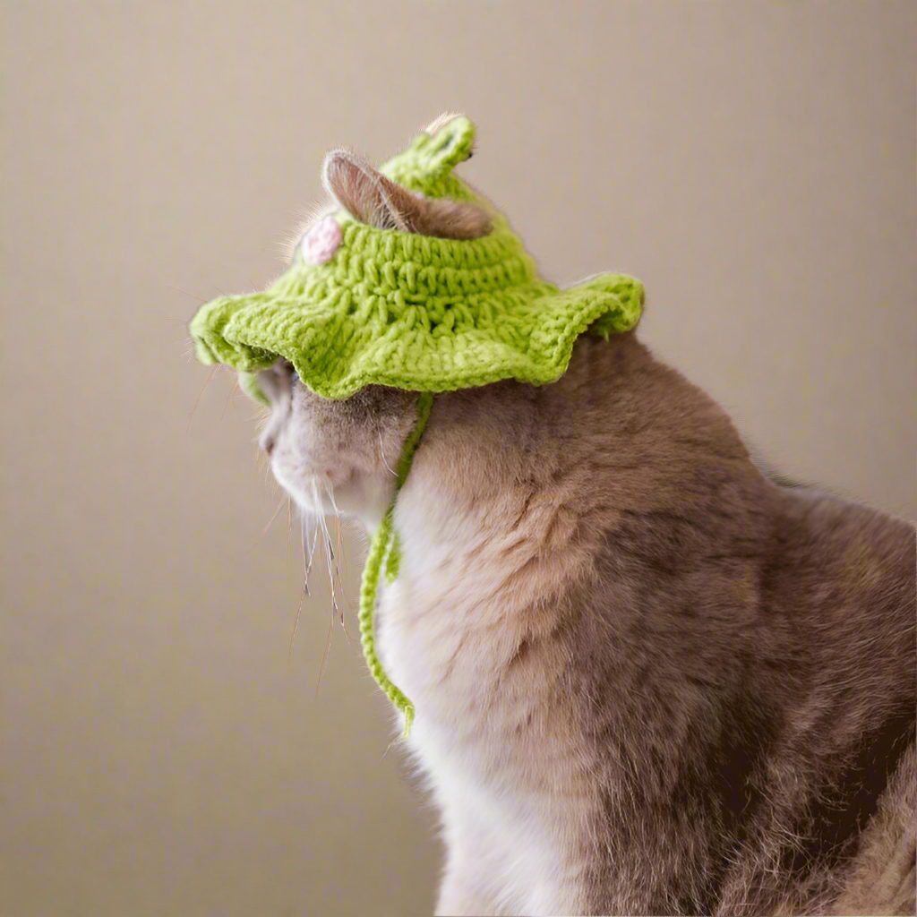 Frog Cat Hat