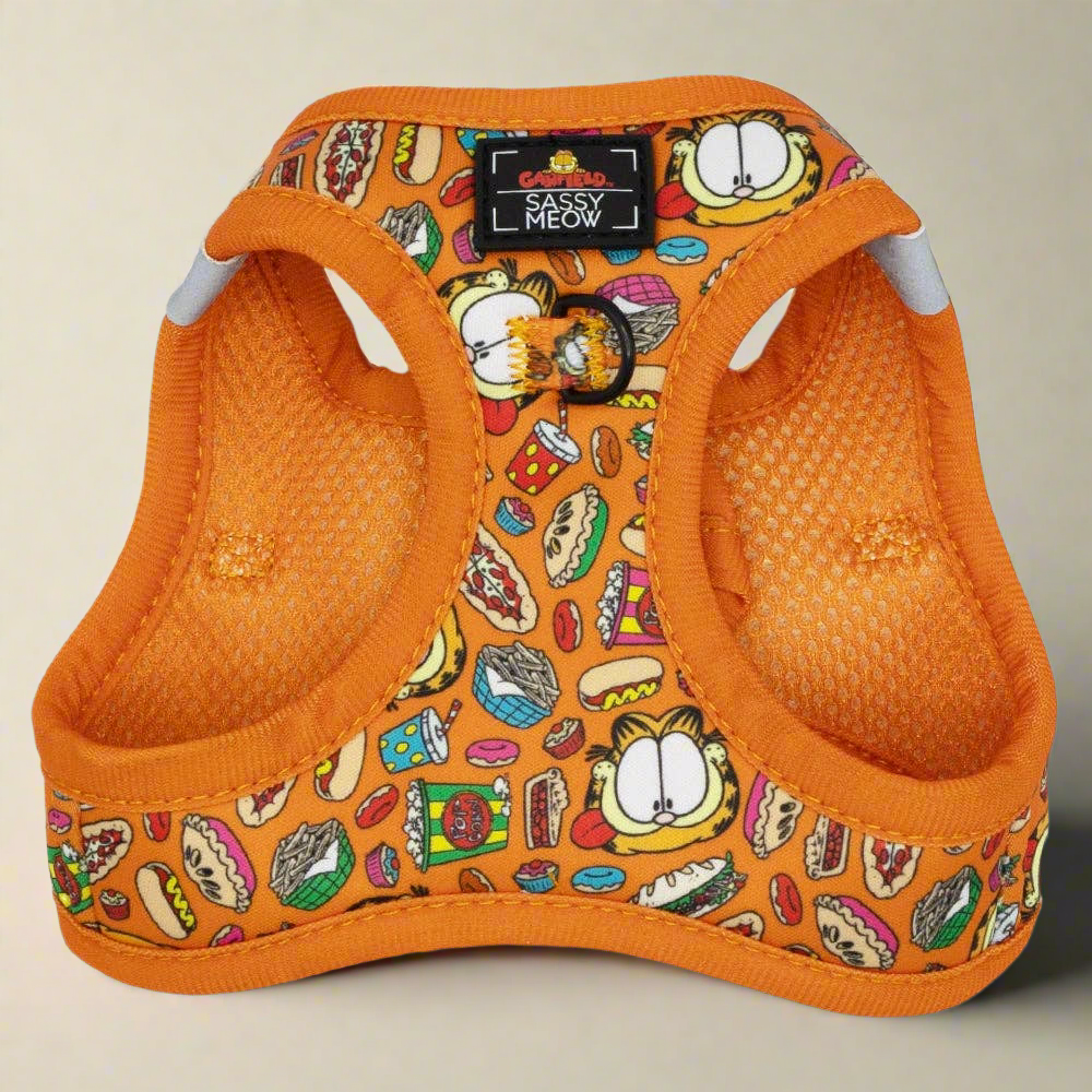 Garfield Cat Bundle