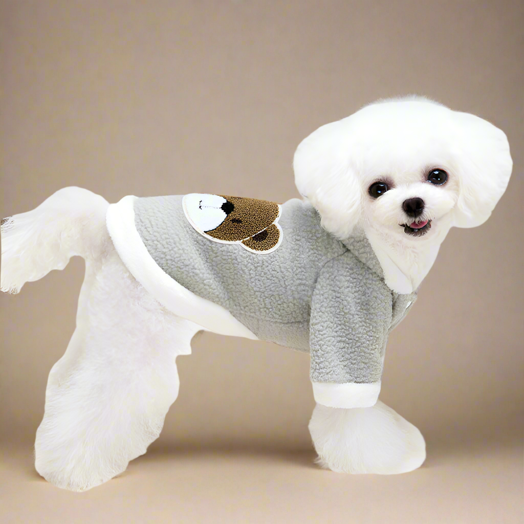 Puppy Bear Hoodie