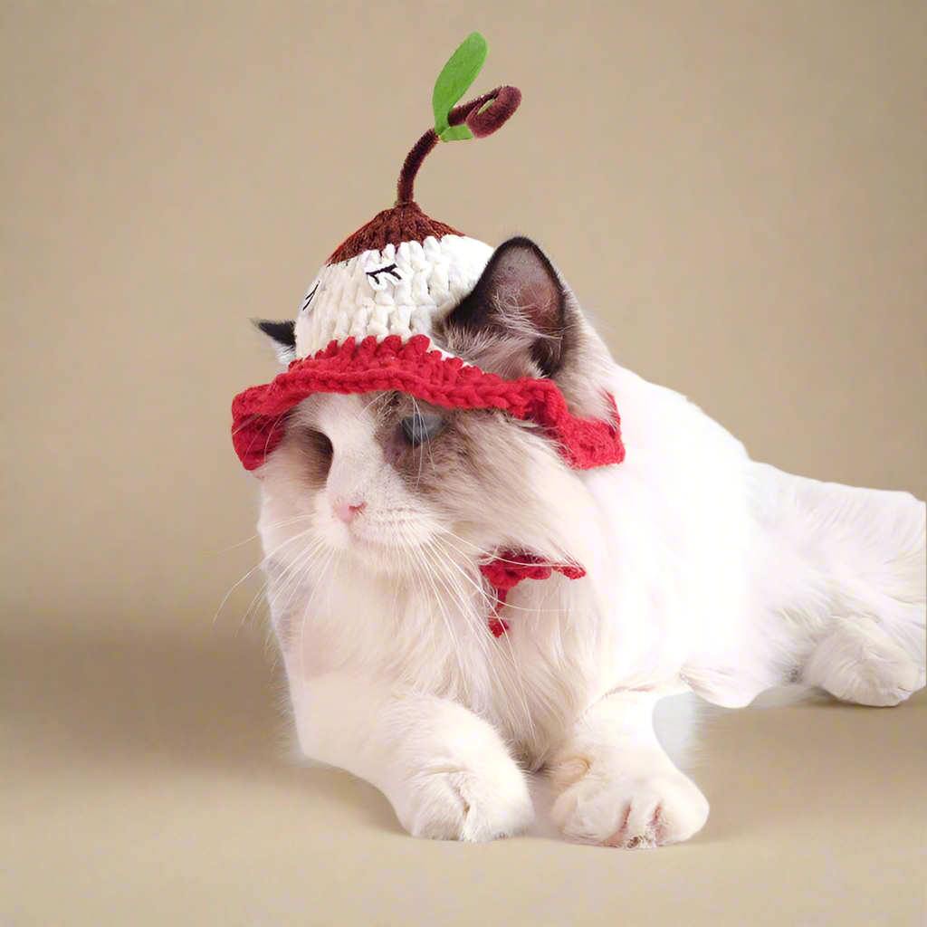 Feline Fashion
