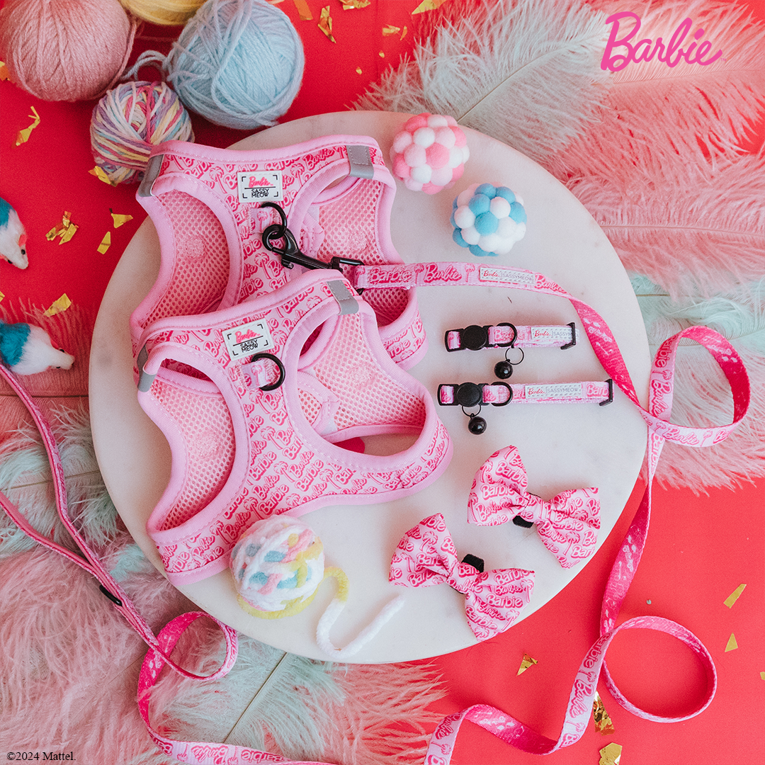 Barbie Malibu Cat Bundle