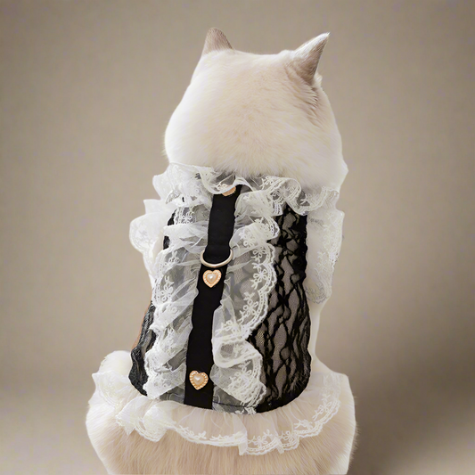 Lace Cat Dress