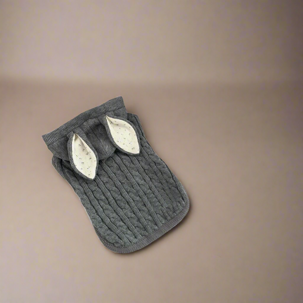 Doggy Shawl