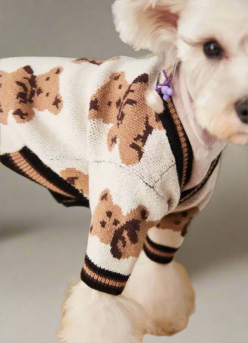 Bear Dog Sweater
