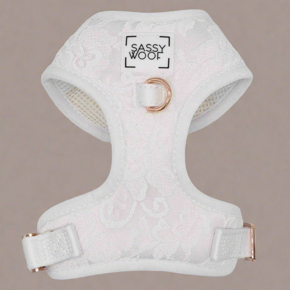 Honor Pup Dog Bundle