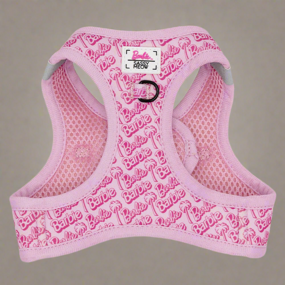 Barbie Malibu Cat Bundle