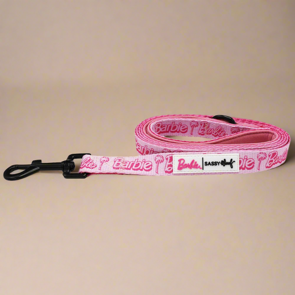 Barbie Malibu Dog Bundle