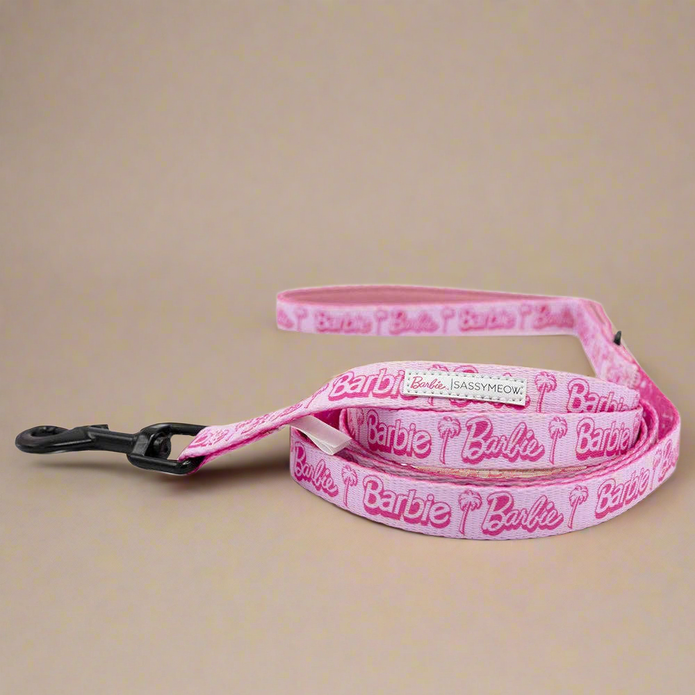 Barbie Malibu Cat Bundle