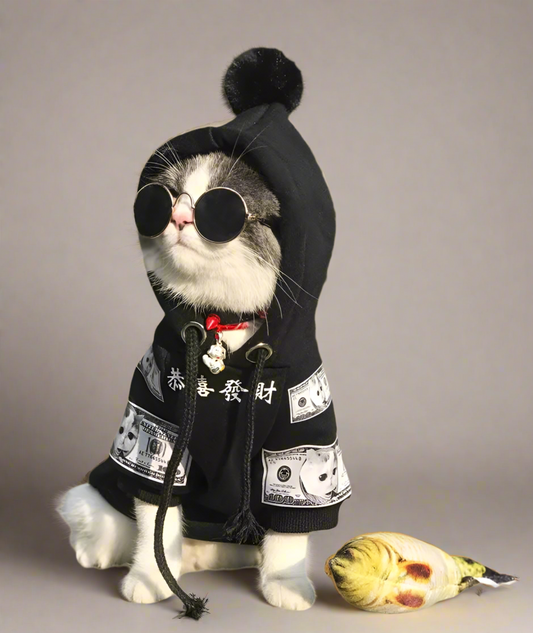 Swag Cat Sweater