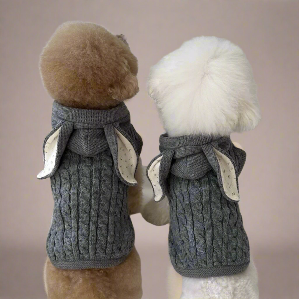 Doggy Shawl