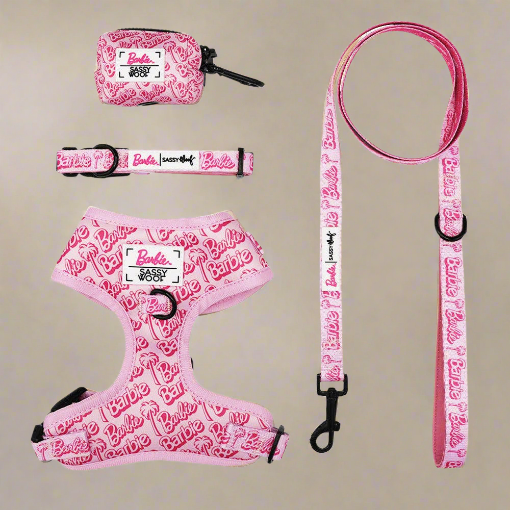 Barbie Malibu Dog Bundle