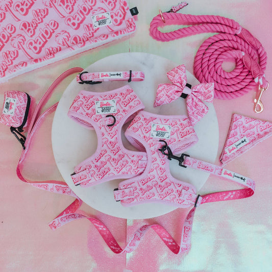 Barbie Malibu Dog Bundle
